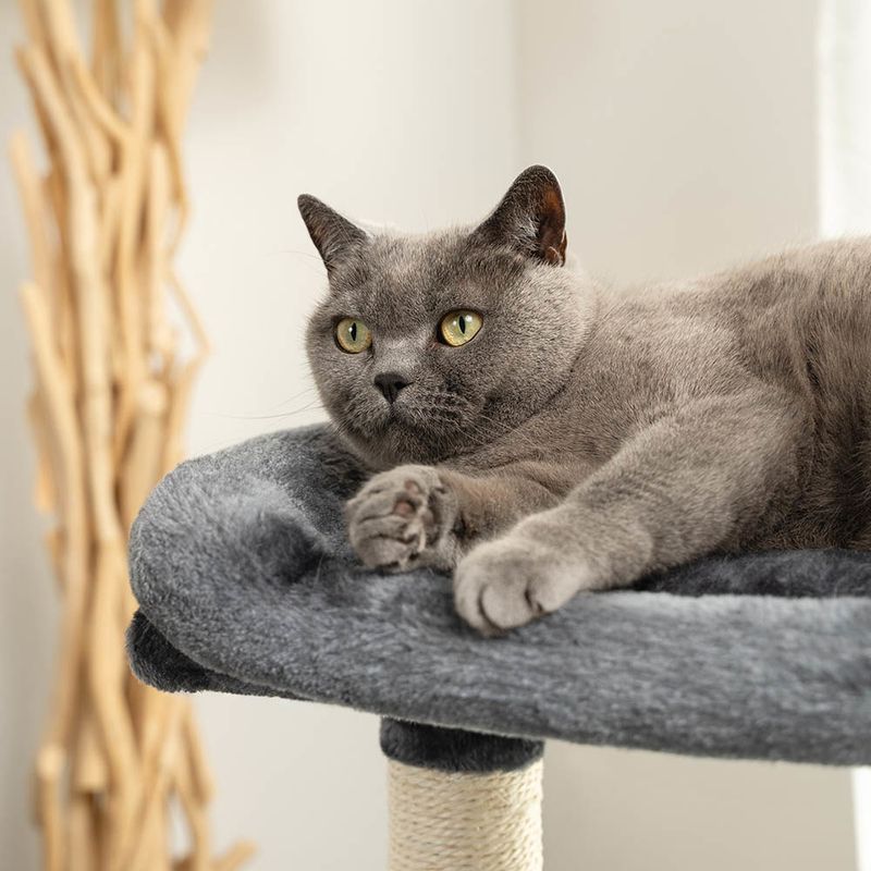 Lionto Scratching Post - 80cm Light Grey