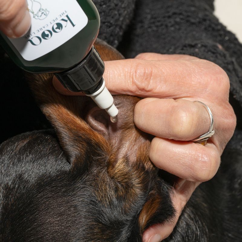 kooa Ear Cleaner 75ml