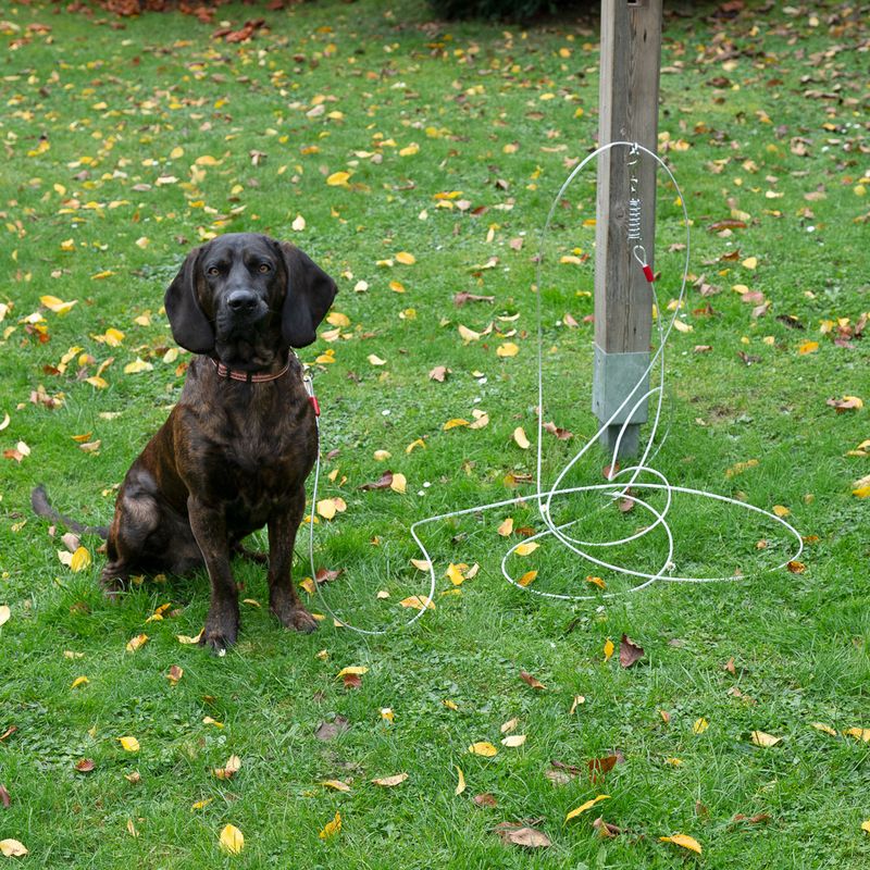 TIAKI Garden Lead 7m Length