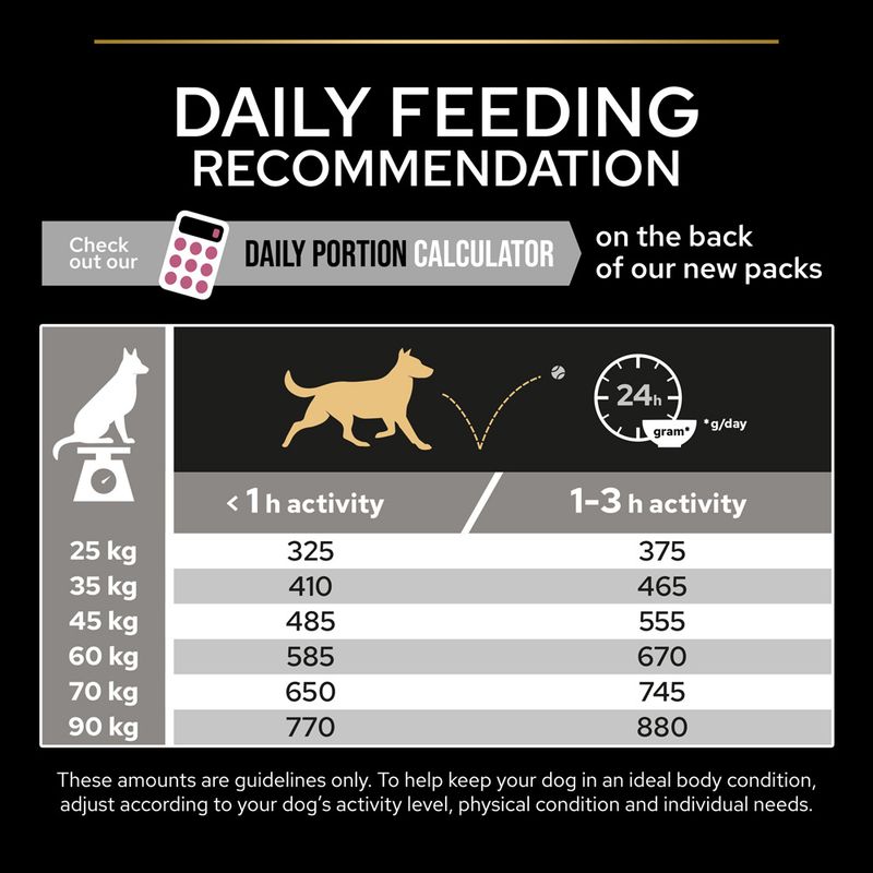 PURINA PRO PLAN Large Robust Adult Sensitive Skin Salmon 14kg