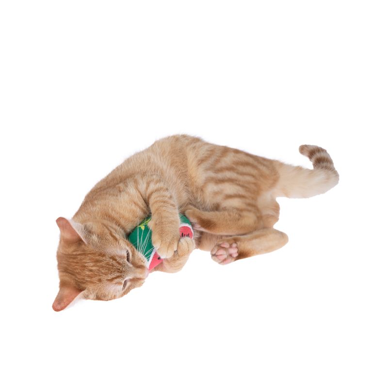TIAKI Watermelon Catnip Toy 1 Toy