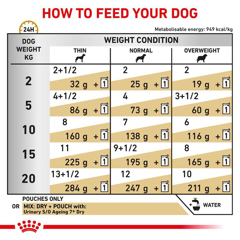Royal Canin Veterinary Dog - Urinary S/O Ageing 7+ in Loaf 12 x 85g