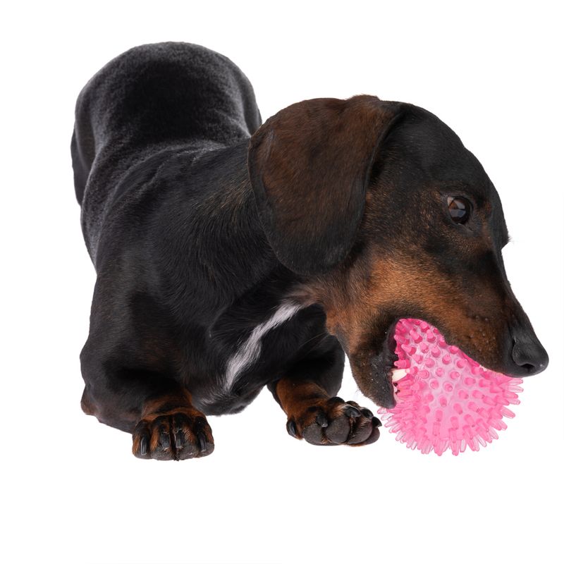 TIAKI Dog Toy Spiky Ball Ø 8,3 cm