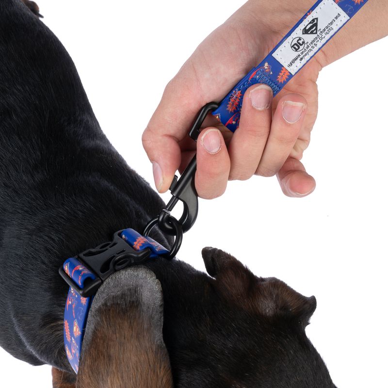 DC Superman Collar - Blue Size S: Neck Circumference 25 - 36 cm, Width 20mm