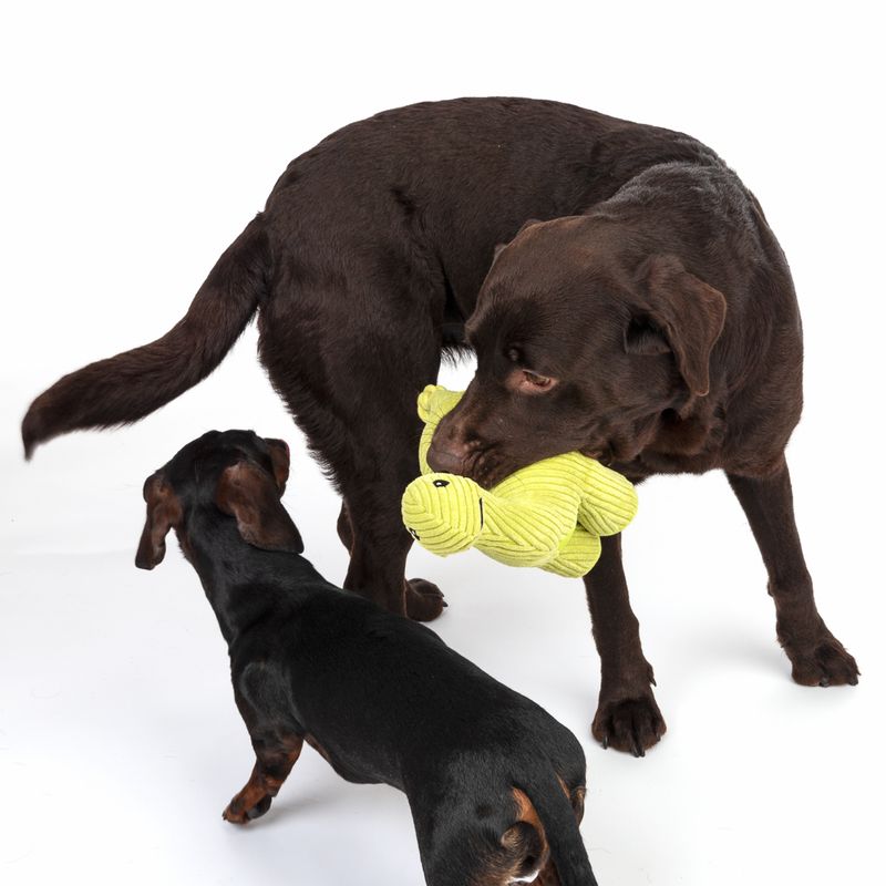 TIAKI Dog Toy Diplodocus approx. L 45 x W 28 x H 12 cm