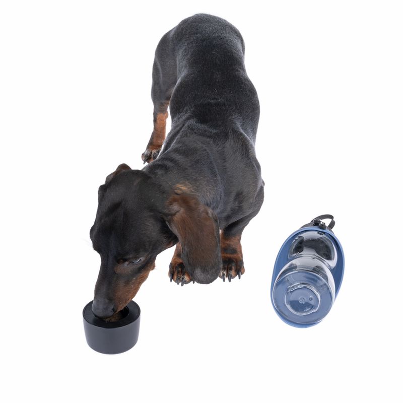 Nomad Tales Spirit 2-in-1-Travel Bottle 500ml