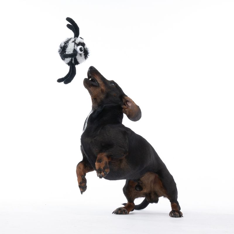 TIAKI Spider Stretch Ball diameter 22cm