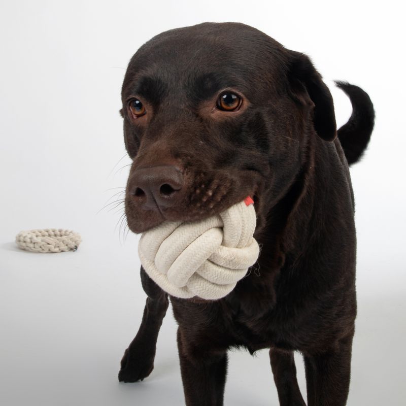 TIAKI Dog Toy Rope Ball Ø 9,1 cm