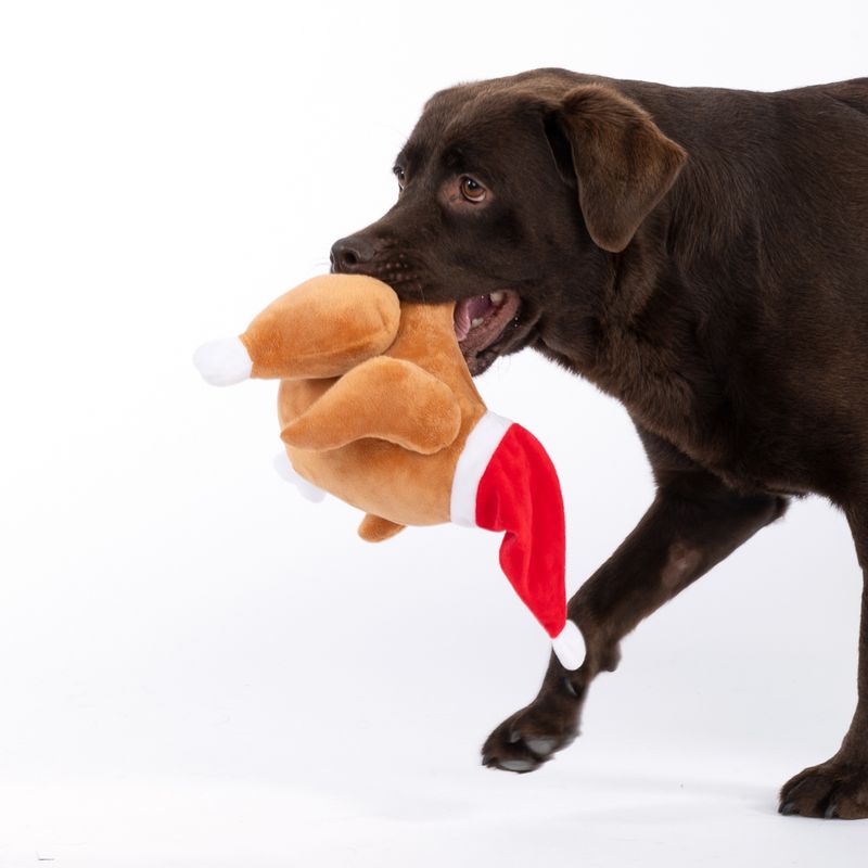 TIAKI Christmas Turkey Dog Toy 1 Toy