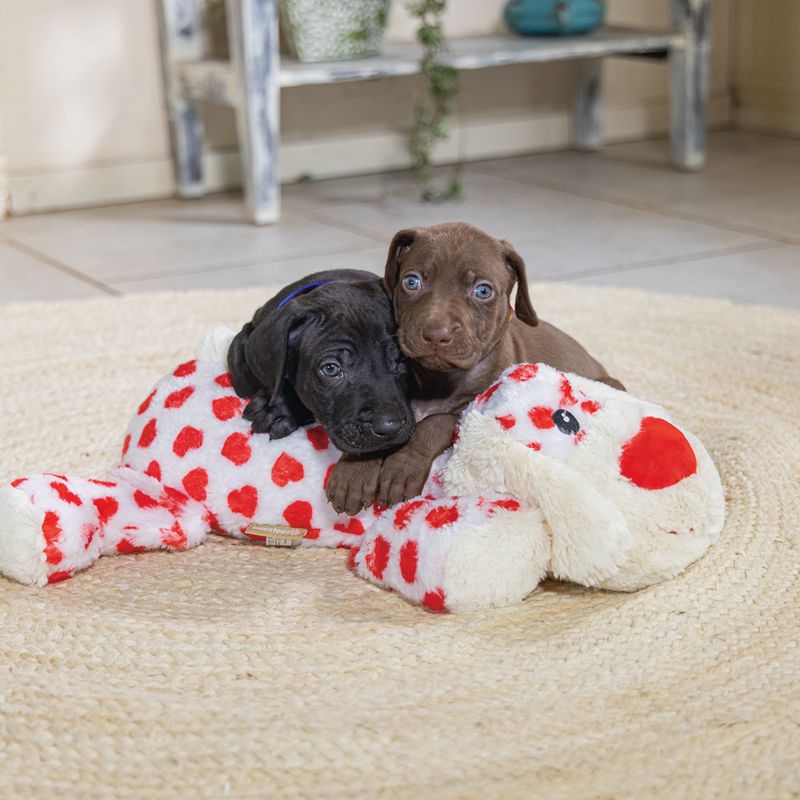 Beeztees Suki Cuddly Dog Toy Size XL