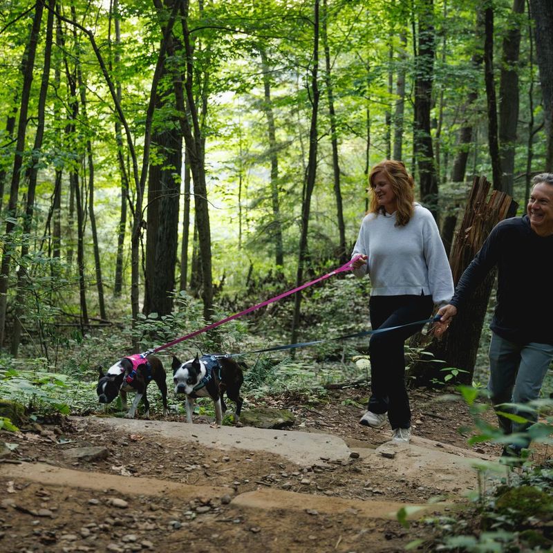 Ruffwear Hi & Light Harness - Alpen Glow Pink Size XS: 43 - 56cm Chest Circumference