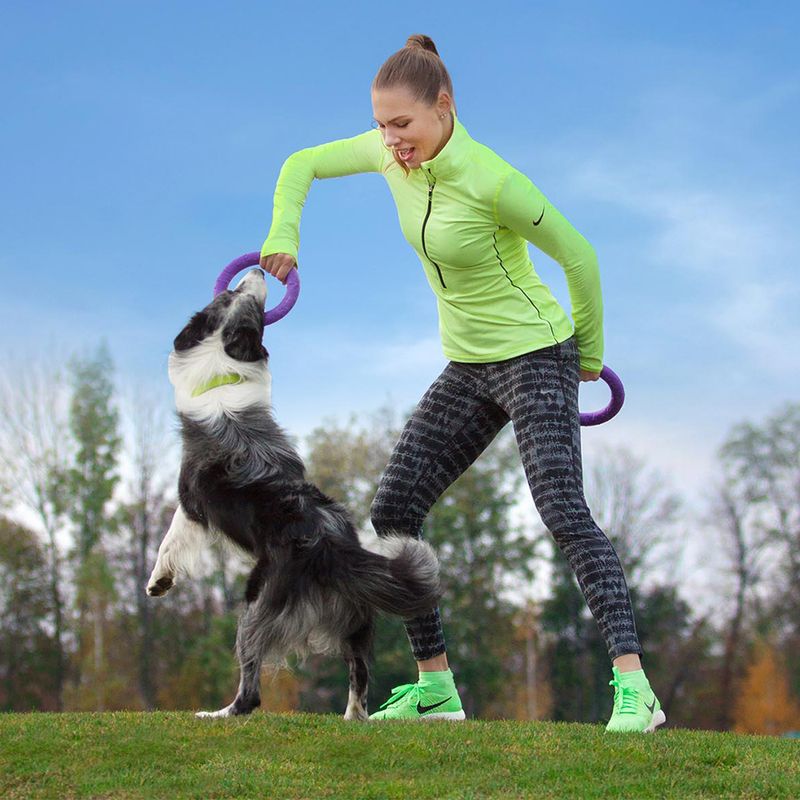 Ferplast Puller Dog Toy Midi: 19cm (Ø)