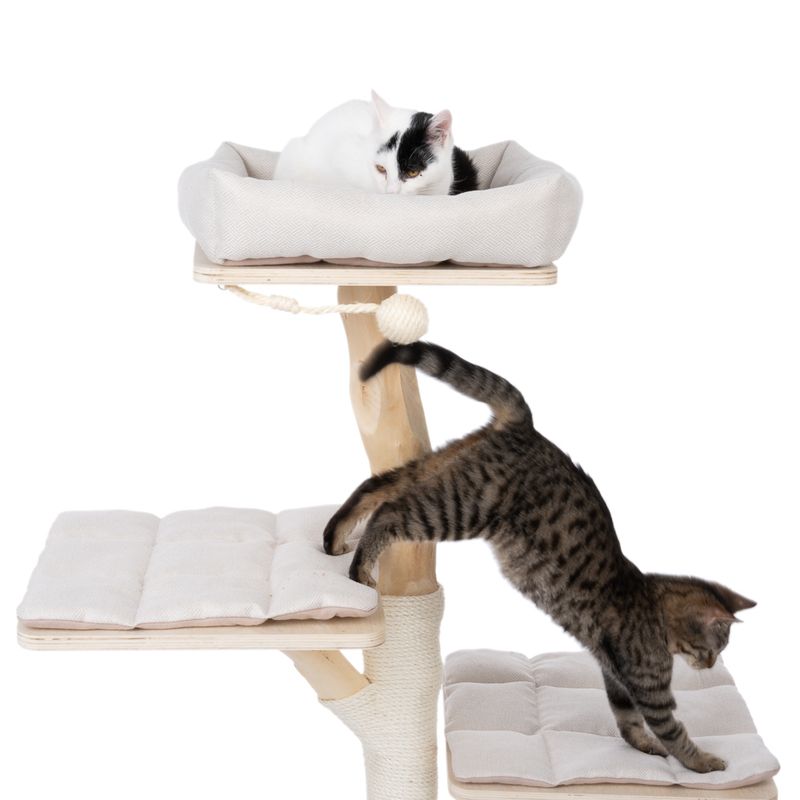 Modern Living Brixen Cat Tree Cream / natural