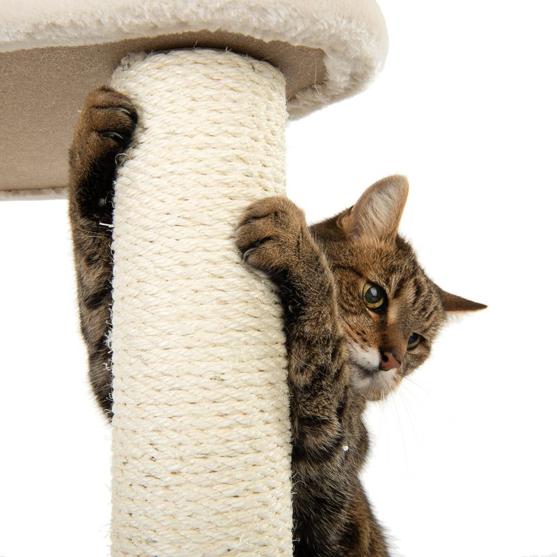 Laguna Cat Tree Cream