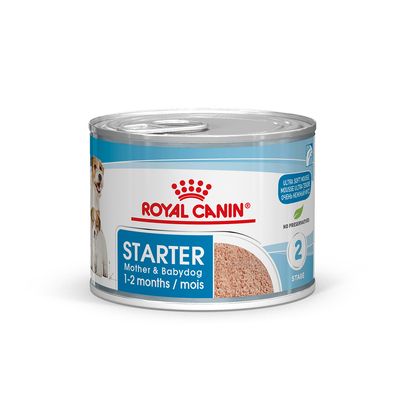 Royal Canin Starter Mousse Mother & Babydog 12 x 195g