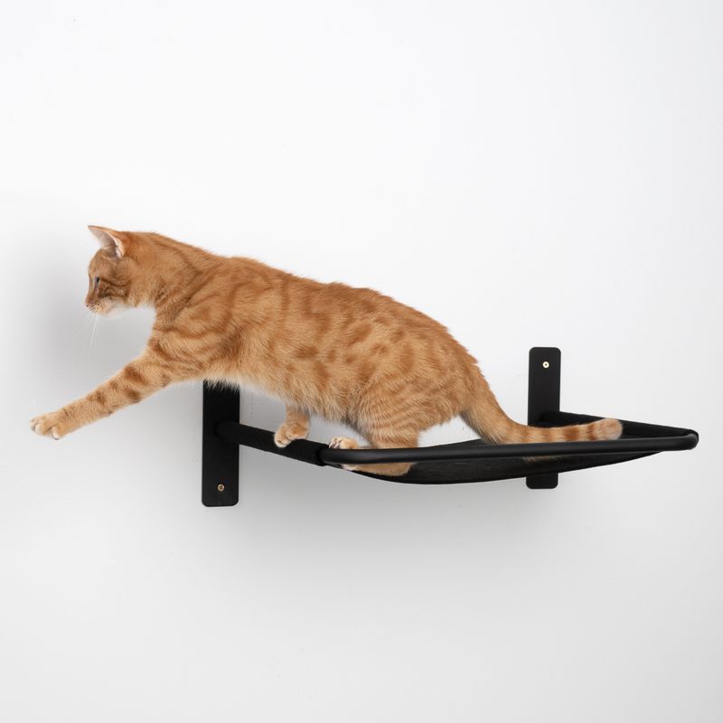 Modern Living Boston Wall Bed Black