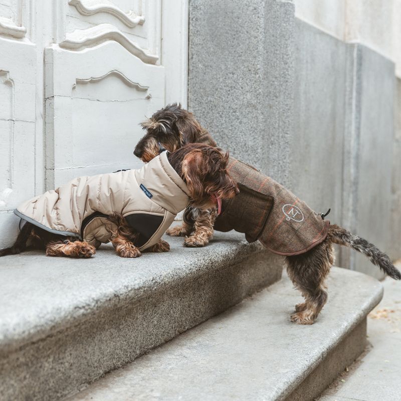 Nomad Tales Bloom Dog Coat - Quilted Comfort approx. 45cm Back Length