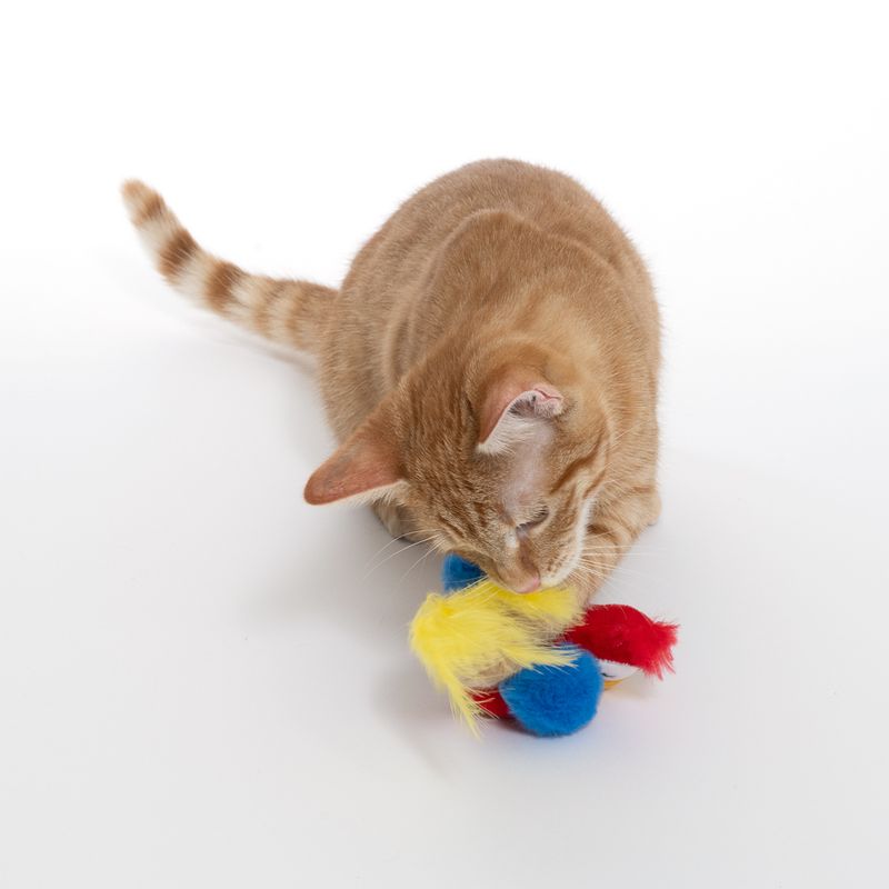 TIAKI Paquita Electronic Cat Toy 1 Toy