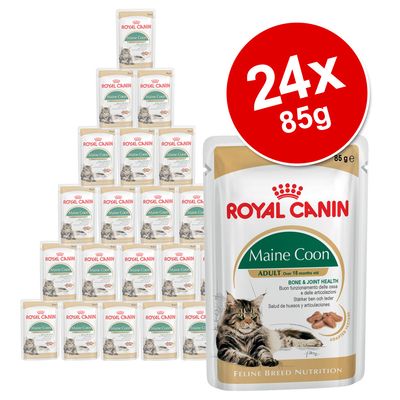 Royal Canin Breed Wet Cat Food Saver Pack 24 x 85g Maine Coon