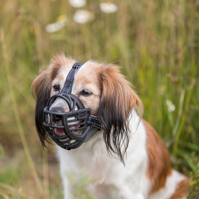 Trixie Flex Rubber Muzzle Size S: Jack Russell, Miniature Poodle