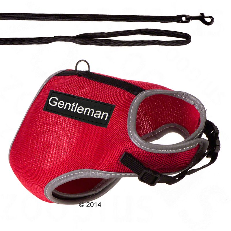 Trixie XCat Harness with Lead and Exclusive Stickers Black