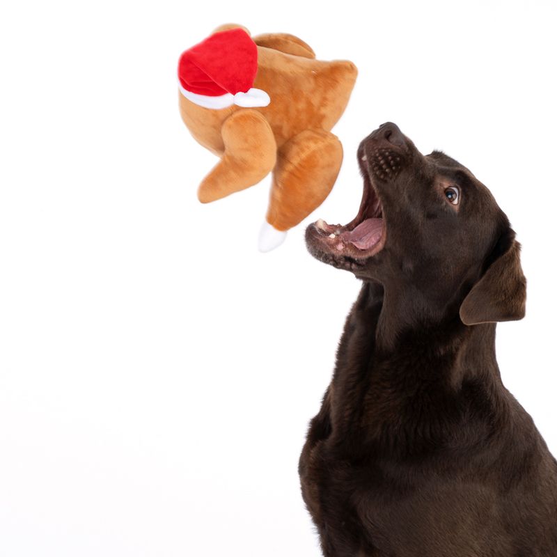 TIAKI Christmas Turkey Dog Toy 1 Toy