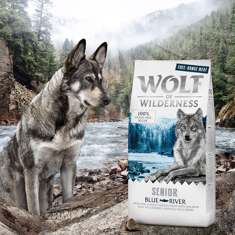 Wolf of Wilderness Senior \