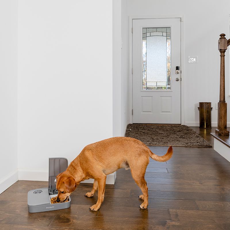 PetSafe® Automatic 2 Meal Pet Feeder 2 x 355ml