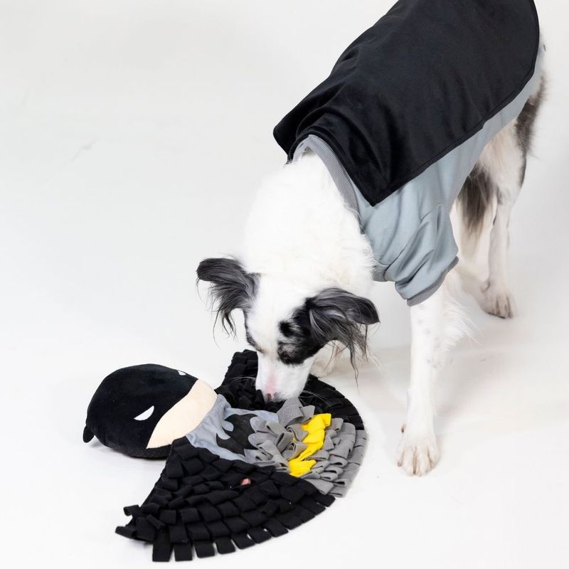Warner Bros™ DC Batman Dog Costume Size S/M: 35cm Back Length