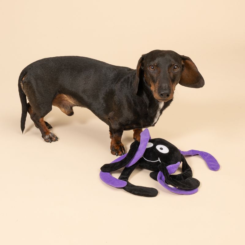 TIAKI Spider Dog Toy approx. 35 x 26 x 7 cm (L x W x H)