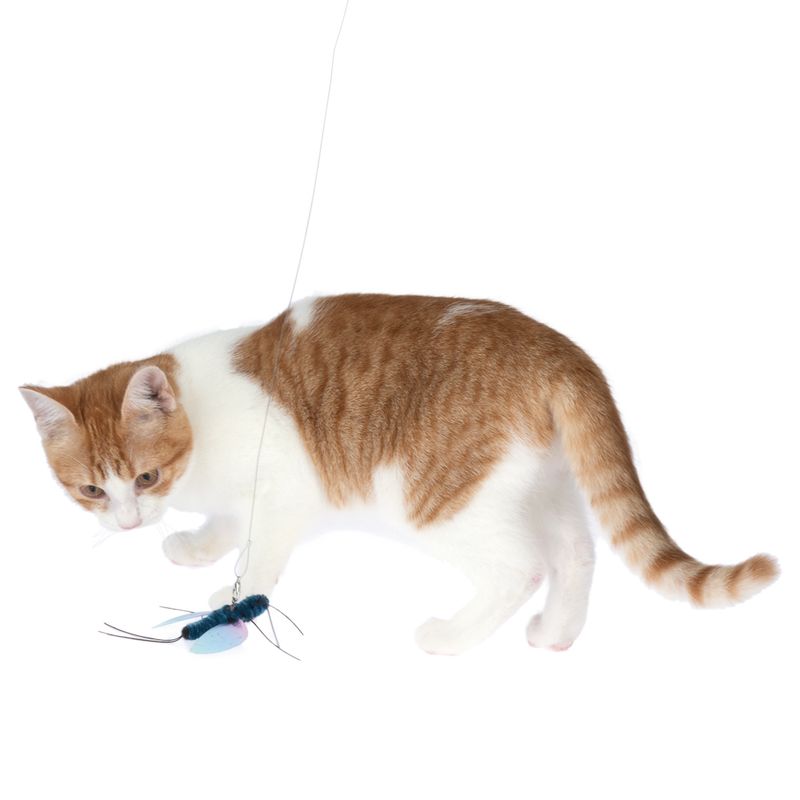 TIAKI Dragonfly Dangler Cat Toy 1 Dangler Toy