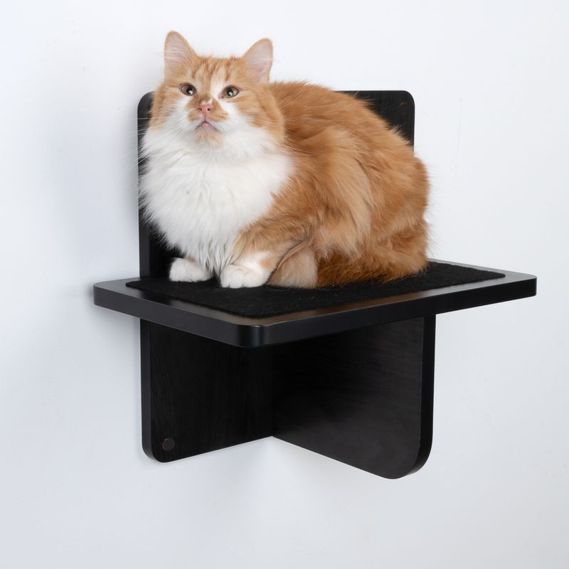 Modern Living Platform San Francisco Black