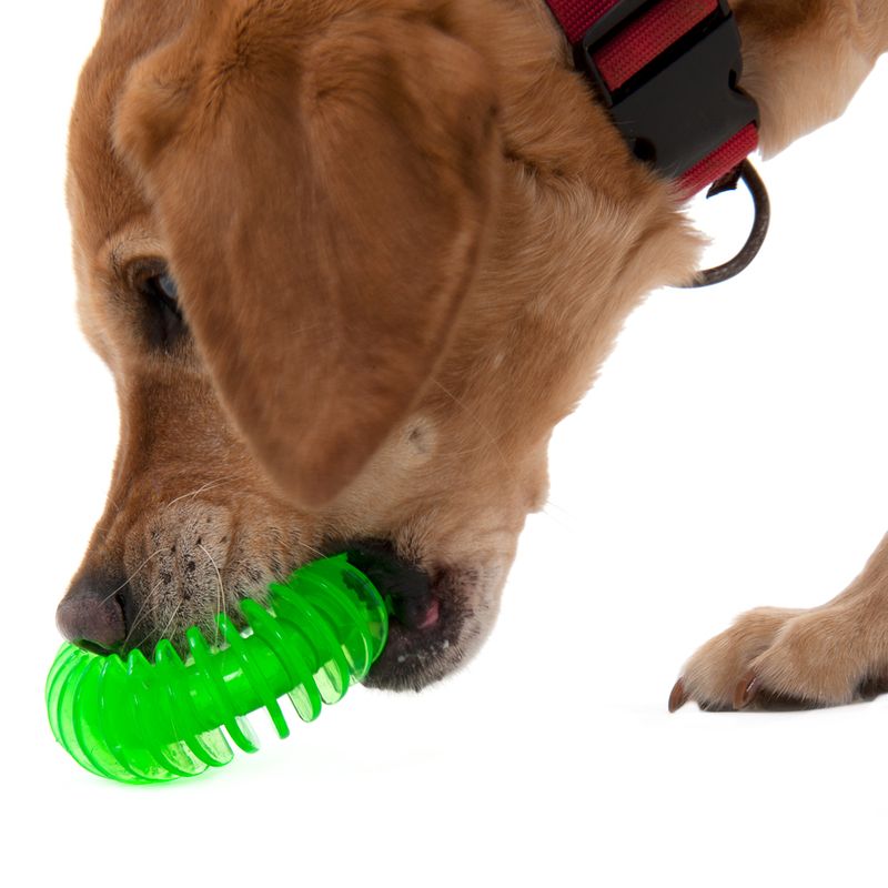 Thermoplastic Rubber Ring Dog Toy approx. Diameter 11.5cm