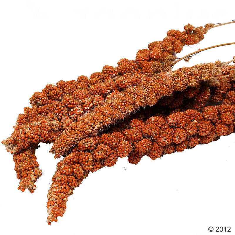 Savic Food Holder Pincer 2 pincers