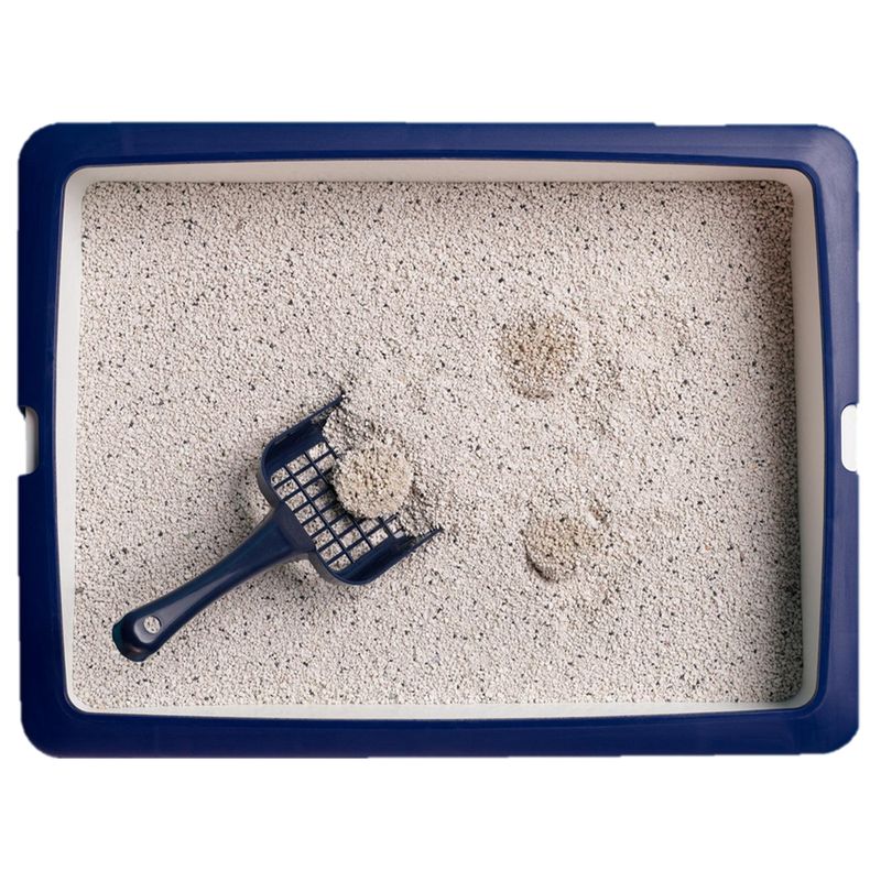 Catsan Active Fresh Clumping Litter 8l