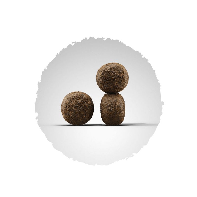 Josera High Energy 12.5kg