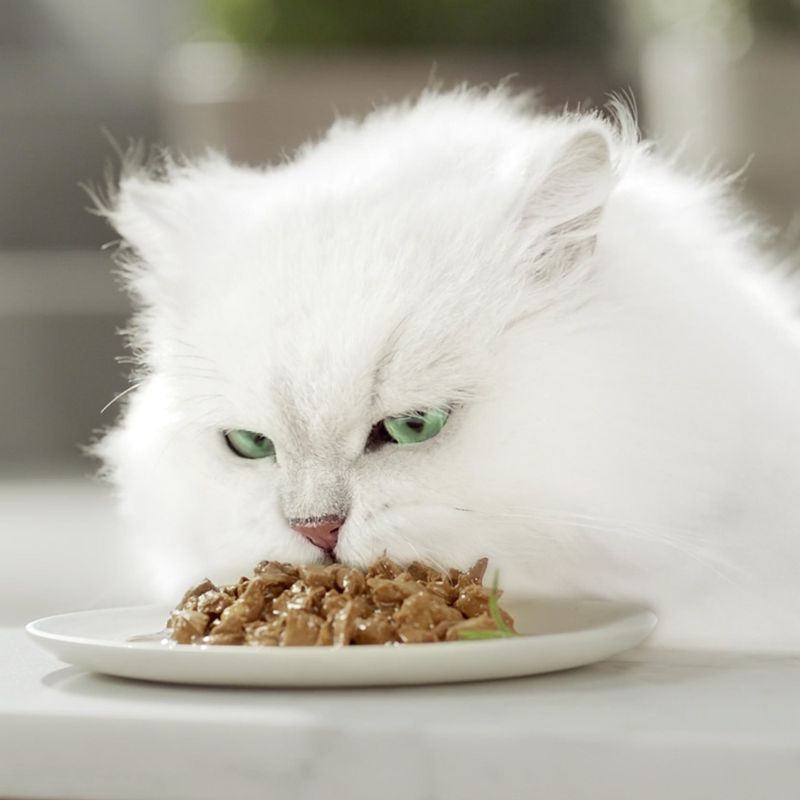 Gourmet Perle Mixed Pack 4 x 85g Turkey, Tuna, Duck & Lamb