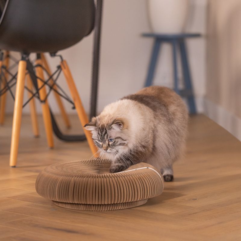 Beeztees Scratching Toy Siep 38 x 10cm (W x H)