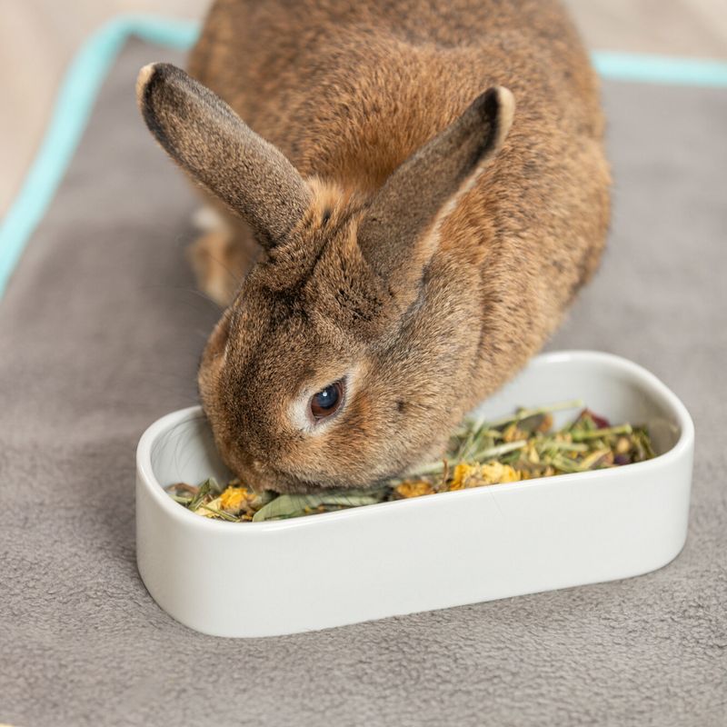 Trixie Ceramic Bowl for Small Animals - Oval 600ml