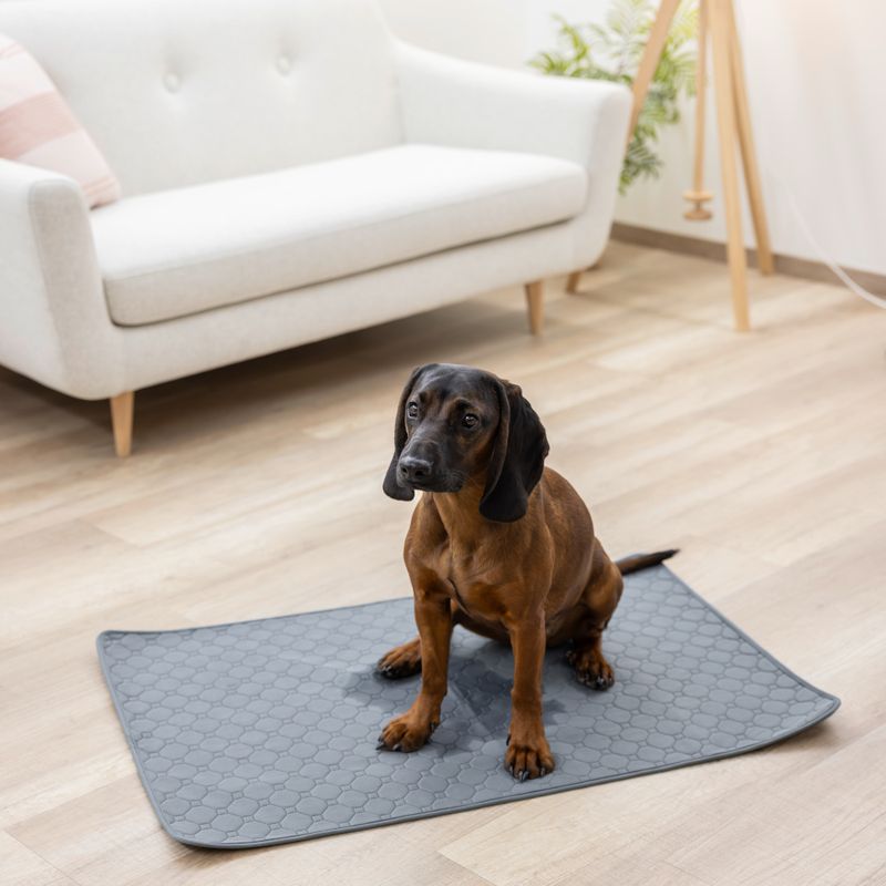 Kerbl Pet Washable Urine Pad - Grey Approx. 60 x 45cm (L x W)