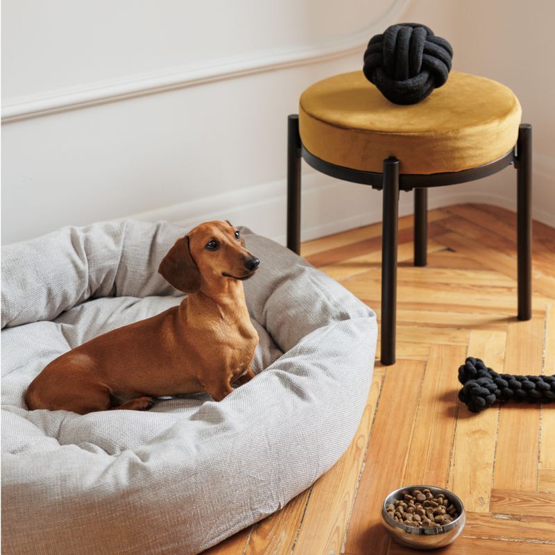 Modern Living Papua Rope Bone 30cm (L)