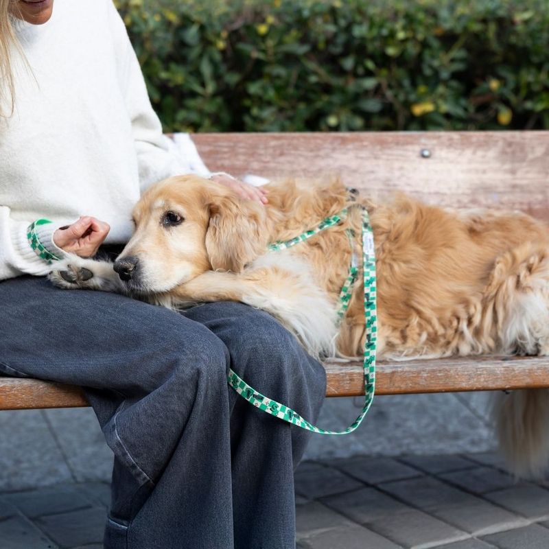 Harry Potter Slytherin Dog Lead 200cm Length, 20mm Width