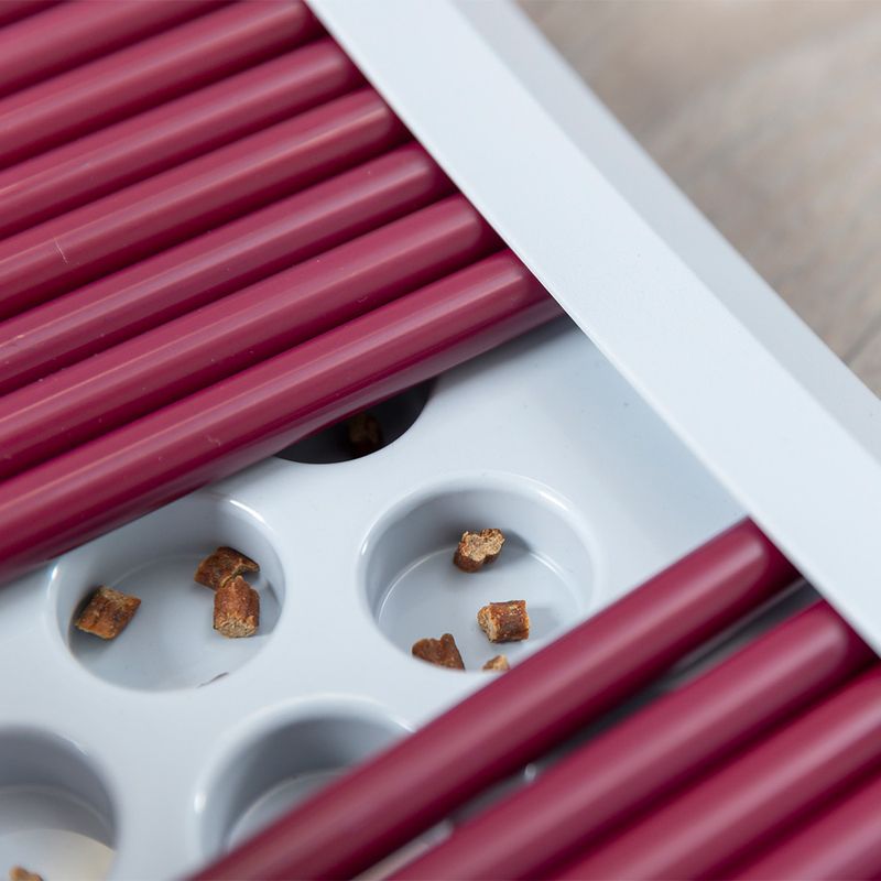 Trixie Cat Activity Rod Board 1 Toy