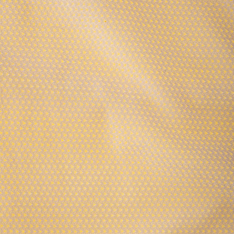 zooplus Basics Raincoat approx. 30cm Back Length