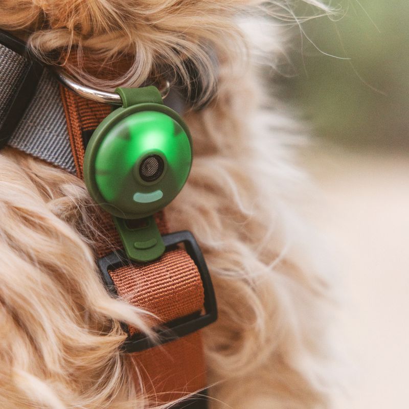 kooa ultrasonic tick protection dark green