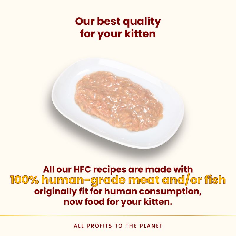 Almo Nature HFC Kitten Complete 6 x 70g Salmon with Tuna