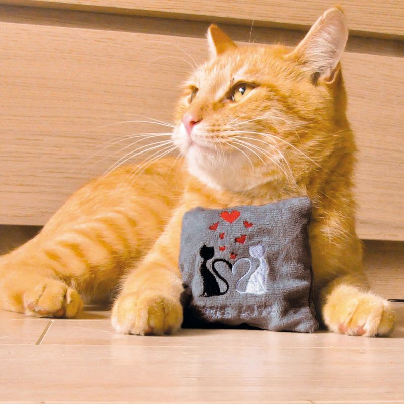 Aumüller True Love Mini Pillow 1 pillow