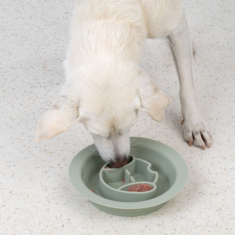 TIAKI Silicone Slow Feeder & Licking Mat 300ml