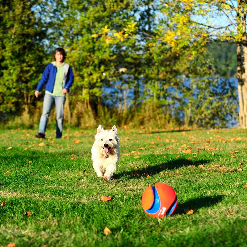 Chuckit! Kick Fetch Large: 19cm Diameter