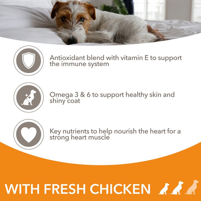 IAMS Advanced Nutrition Adult Small & Medium Dog - Chicken 3kg